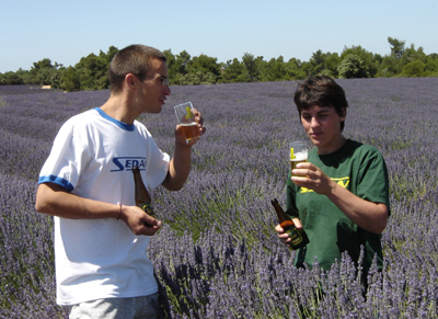 princesse-biere-sedan-en-vacan